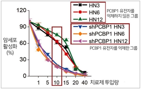 PCBP1유전자를 억제한 그룹이 암세포 활성화가 최대 70%p이상 더 낮았다.