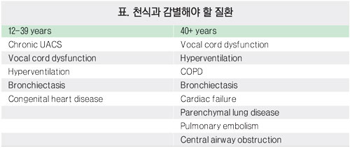 천식 흡입기의 종류