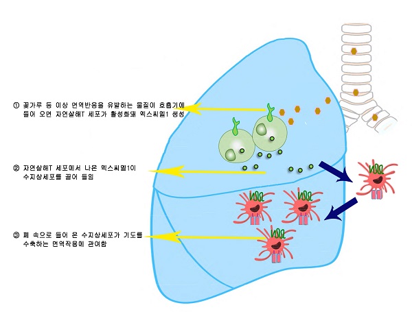 천식 치료법 한방적 진행으로 5