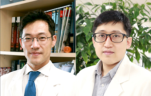 분당서울대병원 강시혁 교수, 공공의료사업단 권오경 교수(사진 오른쪽)