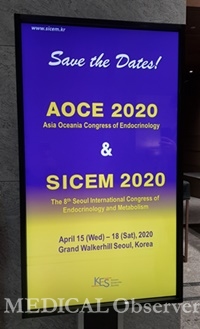 SICEM 2019에서는 내년에 국내에서 열리는 AOCE 2020에 대한 홍보가 진행됐다.
