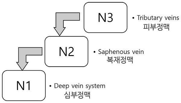 정상적인 혈액의 흐름은 N3(피부정맥)→N2(복재정맥)→N1(심부정맥) 순으로 진행한다. 하지정맥류의 치료는 N1에서 N2로의 역류를 치료하는 것이 중요하지만 윤상철 교수는 이번 연구를 통해 N2에서 N3로의 역류도 함께 치료해야 함을 밝혀냈다.