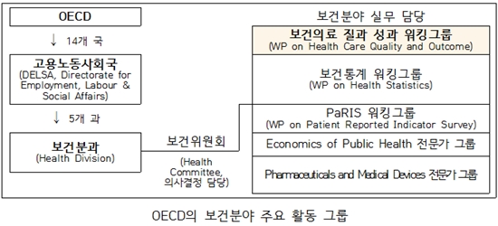 OECD의 보건분야 주요 활동 그룹