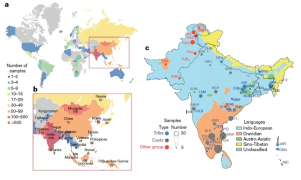 [그림] 게놈아시아 100K 프로젝트의 국가별 샘플 수 및 분포도(a와 b: 국가별 샘플 수 / c: 남아시아 지역, 언어, 사회계급별 샘플 분포도)