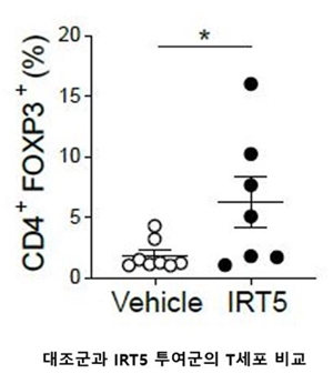 IRT5 투여군을 대조군과 비교한 결과, 면역조절 T세포 수가 많은 것으로 조사됐다.
