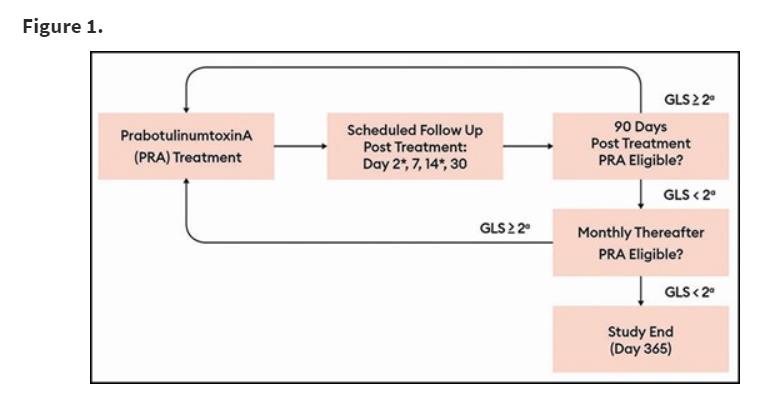 미용성형저널 게재 논문에서 발췌한 EV-004와 EV-006의 임상 흐름도. 1년 동안 추적 관찰 중 투여 간격 90일이 지난 시점에서 연구자가 평가해 최대로 찡그렸을 때 GLS가 2점 이상일 경우(중등증-중증)에만 반복 투여를 가능하게 해 최대 4회까지 반복 투여했다.