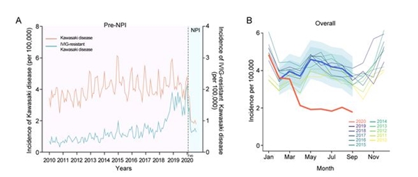 2020년 2월부터 코로나19 NPI 시행 이후 가와사키병이 급격히 줄어 드는 것이 확인됐다. (A) 붉은선은 10만명당 발생률이고 파란선은 정맥 내 면역 글로불린 내성 가와시키병이다. 인구 10만명당 월별 발생률(B) 역시 예측 발생률(파란색)보다 실제 발생률(붉은선)이 확연히 줄어들었다.