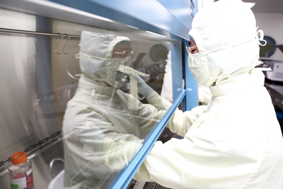 차바이오텍 연구원이 첨단바이오의약품 제조를 위해 생물안전작업대(BSC)에서 세포를 수집하고 있다.