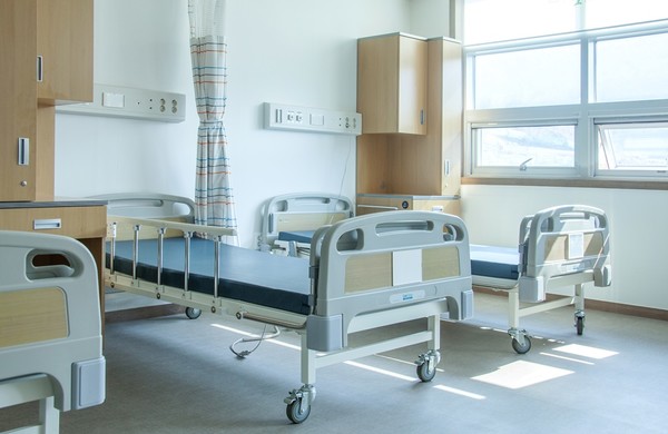 출처:게티이미지뱅크