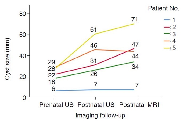 산전 초음파(Prenatal US), 산후 초음파(Postnatal US), MRI 검사에서 담도폐쇄증 환자(1번)는 총담관낭종 환자들(2~5번)과 달리 낭종 크기(세로축)가 1cm 미만이며 지속적으로 증가하지 않는 경향을 보였다. 가로축은 검사 종류이고 세로축은 종양의 크기(mm)다.