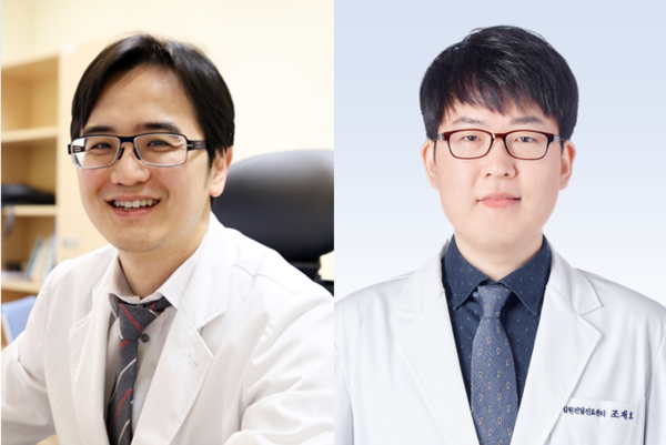 분당서울대병원 입원전담진료센터 김선욱, 조재호 교수(사진 오른쪽)
