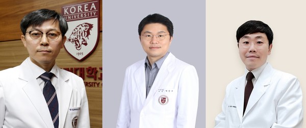 좌측부터 고려대 안암병원 김병조 교수, 박진우 교수(신경과), 인천로뎀병원 유재국 원장.
