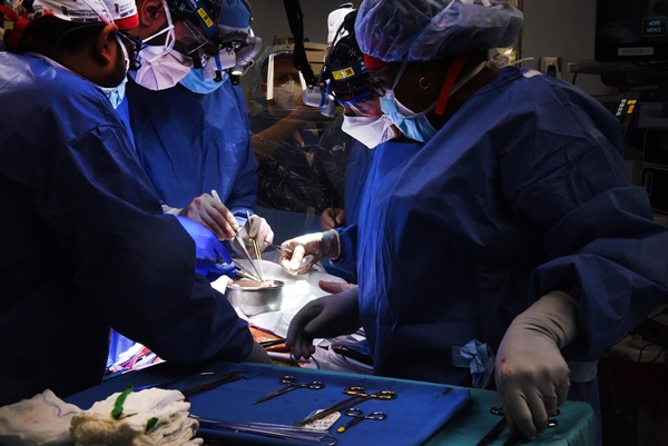 ▲미국 메릴랜드대학 연구팀은 지난 7일 형질전환돼지 심장을 사람에게 이식하는 수술을 진행했다. 사진제공=미국 메릴랜드대학.