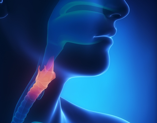 이미지 출처 : 게티이미지뱅크