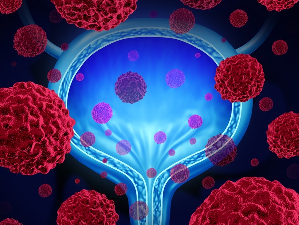 이미지 출처 : 게티이미지뱅크