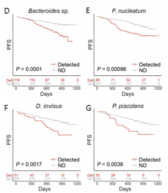 D-G. 4가지 미생물에 따른 대장암 무진행 생존율(PFS) 추이