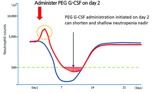 그림 1. PEG G-CSF 예방적 사용에 따른 호중구수 경과