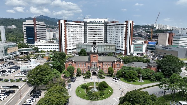 서울대병원·분당서울대병원 전공의협의회 비상대책위원회는 20일 법적 대응 준비에 본격적으로 착수했다고 밝혔다.