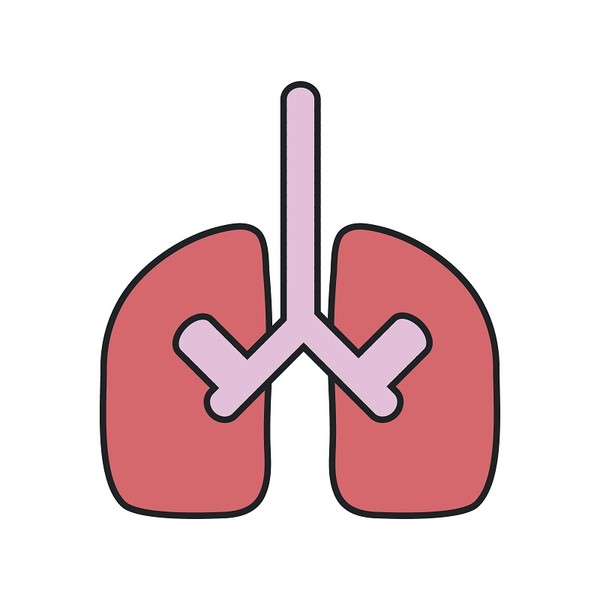 이미지 출처 : 게티이미지뱅크 