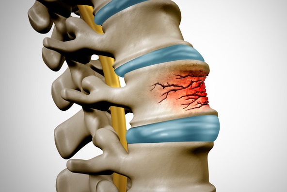 ▲이미지 출처 : 게티이미지뱅크.