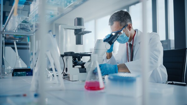 이미지 출처 : 게티이미지뱅크