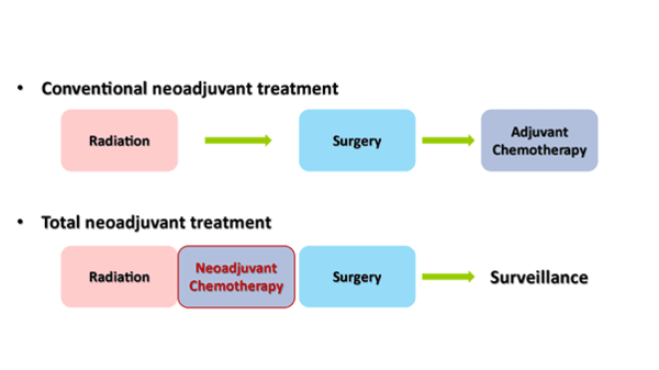 직장암 치료방법 단계 비교.