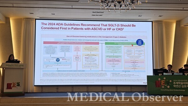 ▲고신대복음병원 김부경 교수는 11월 2일 인터불고 호텔 대구에서 열린 대한내분비학회 추계학술대회 런천 심포지엄에서 '시너지 효과를 내는 병용요법: 2형 당뇨병 환자에서 SGLT2I+DPP4I'을 주제로 발표했다.