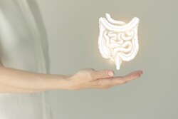 ▲이미지 출처 : 게티이미지뱅크.