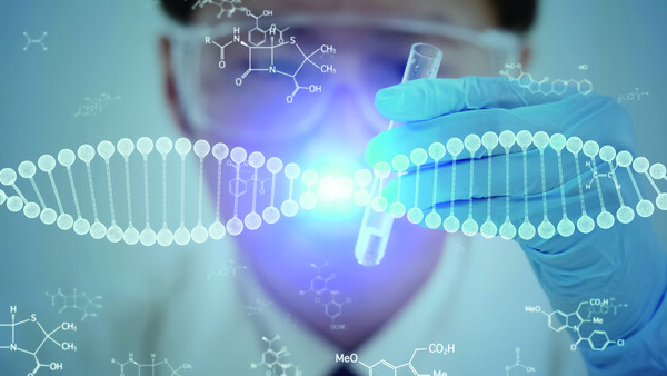 이미지 출처 : 게티이미지뱅크