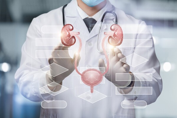 이미지 출처: 게티이미지뱅크