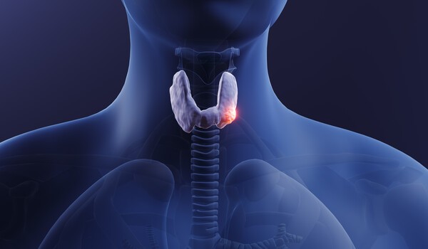 ▲이미지 출처 : 게티이미지뱅크.