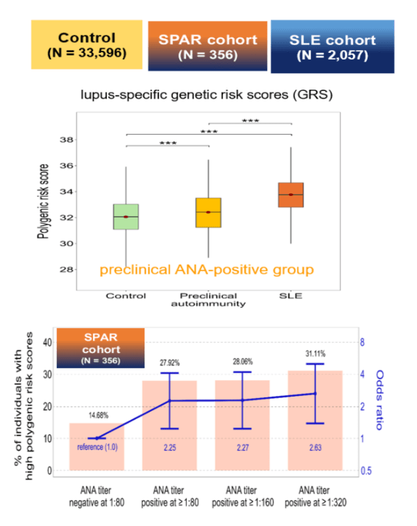 연구팀은 건강한 사람과 자가항체 양성인, 루푸스 환자를 대상으로 광범위한 유전체 연관 분석을 수행했다. 