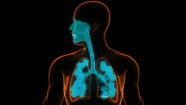 이미지 출처 : 게티이미지뱅크