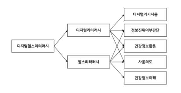 디지털 헬스 리터러시 평가 척도 구성