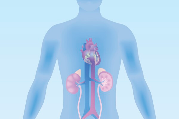 ▲이미지 출처 : 게티이미지뱅크.