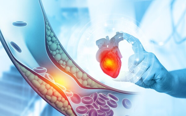▲이미지 출처 : 게티이미지뱅크.
