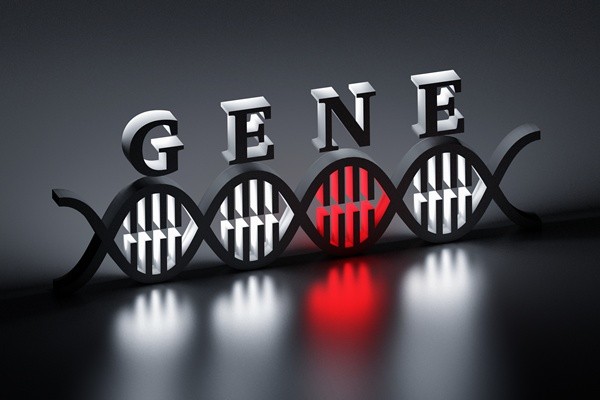 ▲이미지 출처 : 게티이미지뱅크.