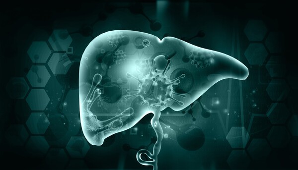 이미지 출처 : 게티이미지뱅크