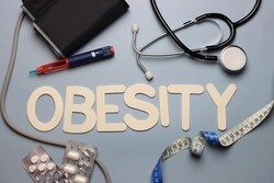 ▲이미지 출처 : 게티이미지뱅크.