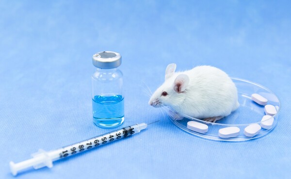 이미지 출처: 게티이미지뱅크