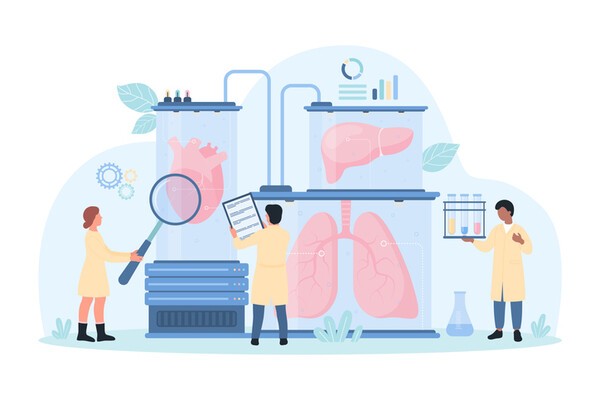 이미지 출처: 게티이미지뱅크