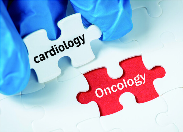 ▲이미지 출처 : 게티이미지뱅크.