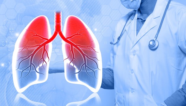 이미지 출처 : 게티이미지뱅크