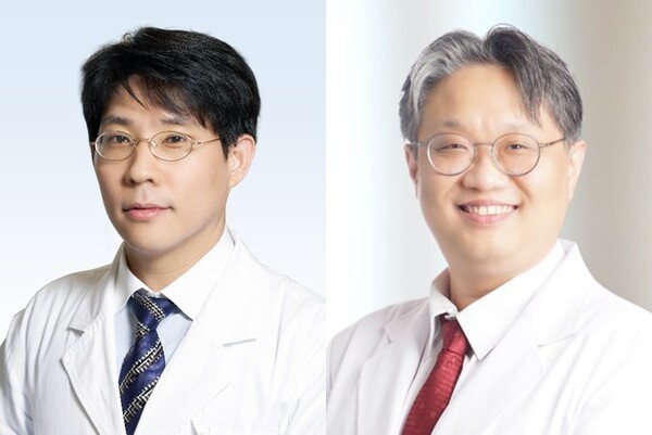 좌측부터 분당서울대병원 최병윤 교수(이비인후과), 고대 안산병원 최준 교수(이비인후과).