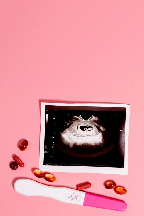 이미지 출처 :게티이미지뱅크