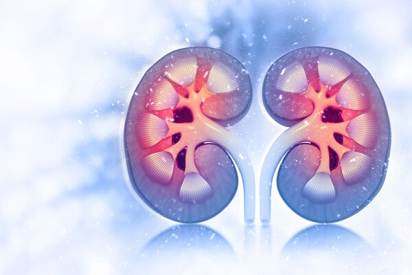 ▲이미지 출처 : 게티이미지뱅크.