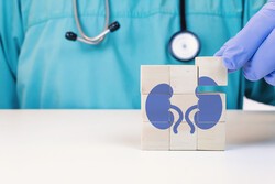 ▲이미지 출처 : 게티이미지뱅크.