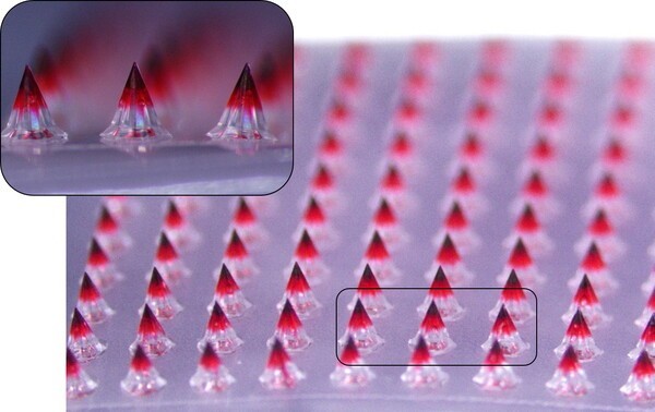 이미지 출처 : 대웅테라퓨틱스