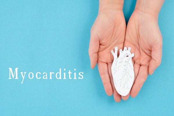 이미지 출처 : 게티이미지뱅크.