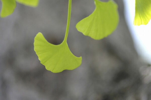 이미지출처 : 게티이미지뱅크